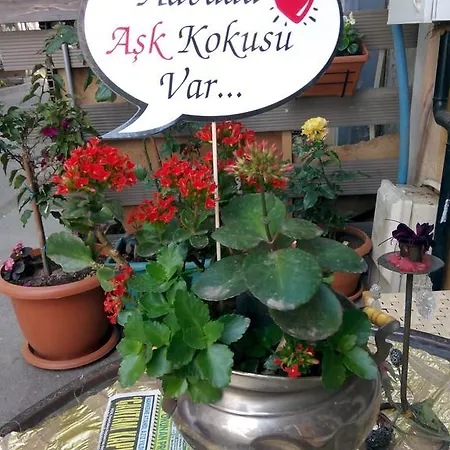 Masal